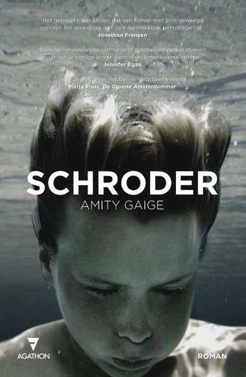 Amity Gaige - Schroder