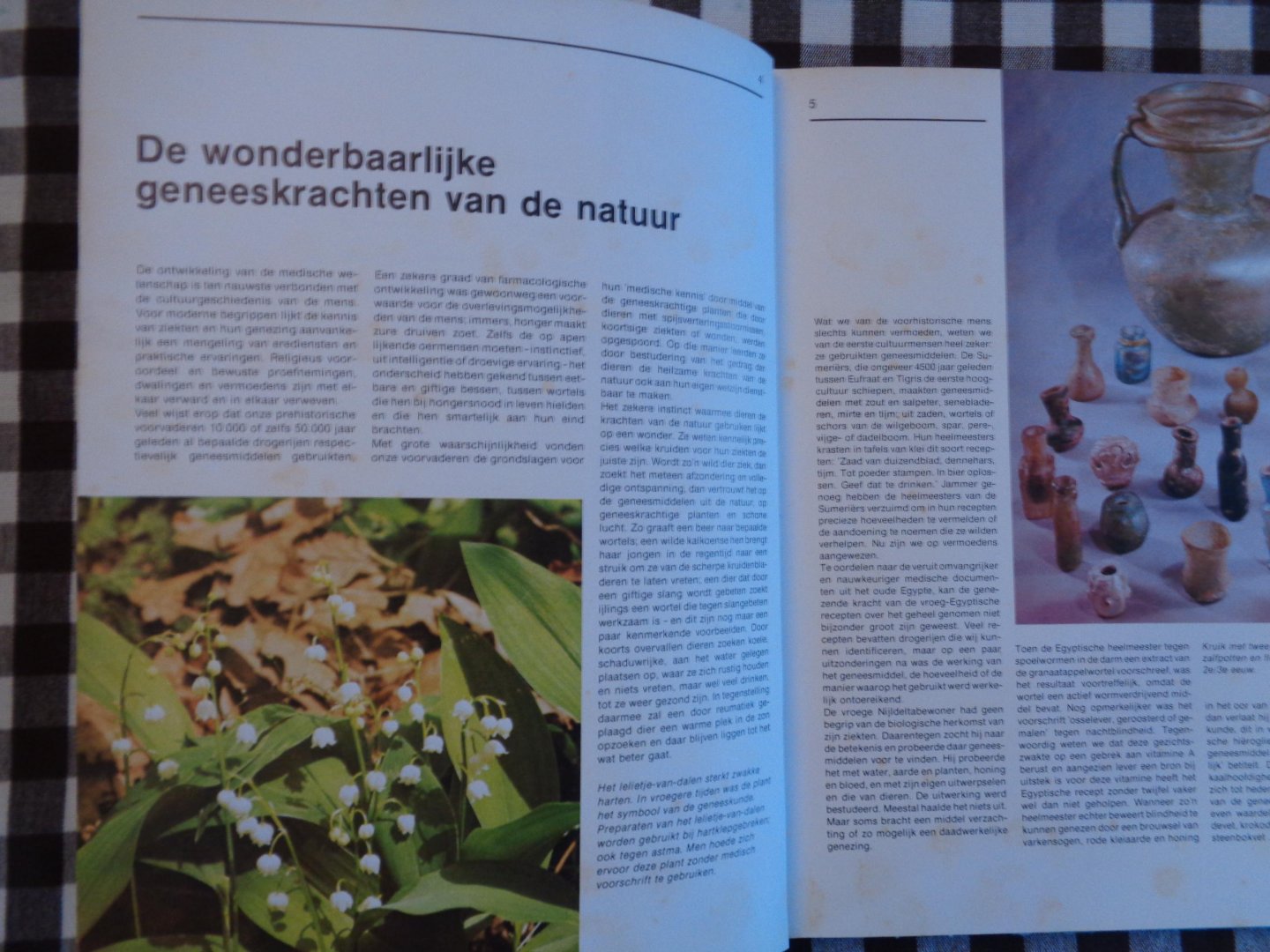 kurt   Bluchel - Genezende kracht van de natuur