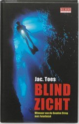 Blind zicht