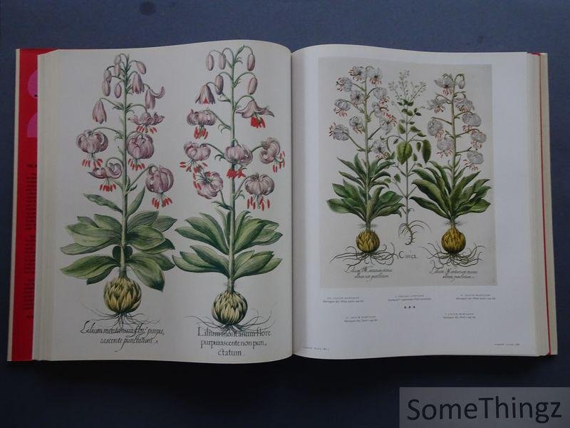 Basilius Besler, Werner Dressendörfer, Klaus Walter Littger. - The Book of Plants. The Complete Plates.