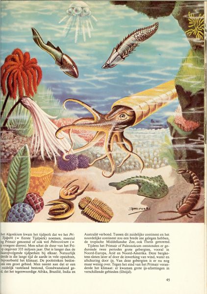 Darwin .. Mendel .. De  Vries  DIV AUTEURS : - Geheimen der dierenwereld VAN MAMMOET TOT GORILLA Deel1 zoogdieren-1