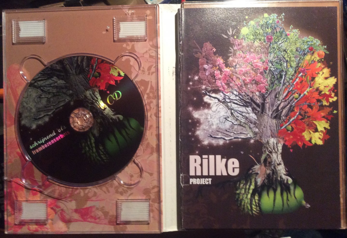 Rilke Project met gedichten van Paul Gellings. DVD - Schrijnend als Frambozensorbets
