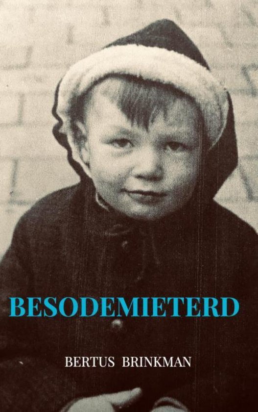 Brinkman, Bertus - Besodemieterd