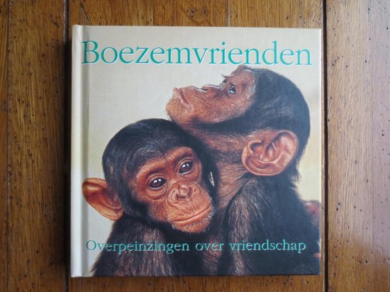 nvt - BOEZEMVRIENDEN