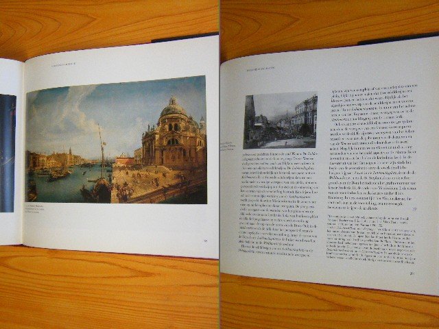 Bernard Aikema en Boudewijn Bakker - Schilders van Venetie - Oorsprong en bloei van de Venetiaanse Vedute