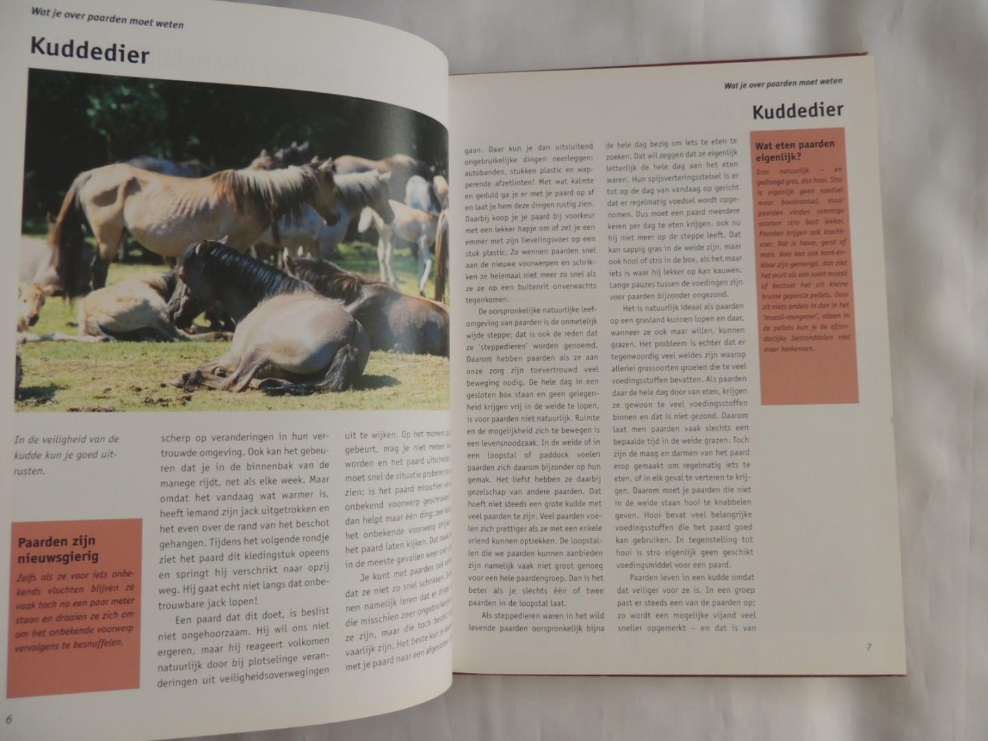 Behling, Silke Vertaling: Jan Bruin. - Zo leer je paardrijden. Handboek voor beginners en gevorderden.
