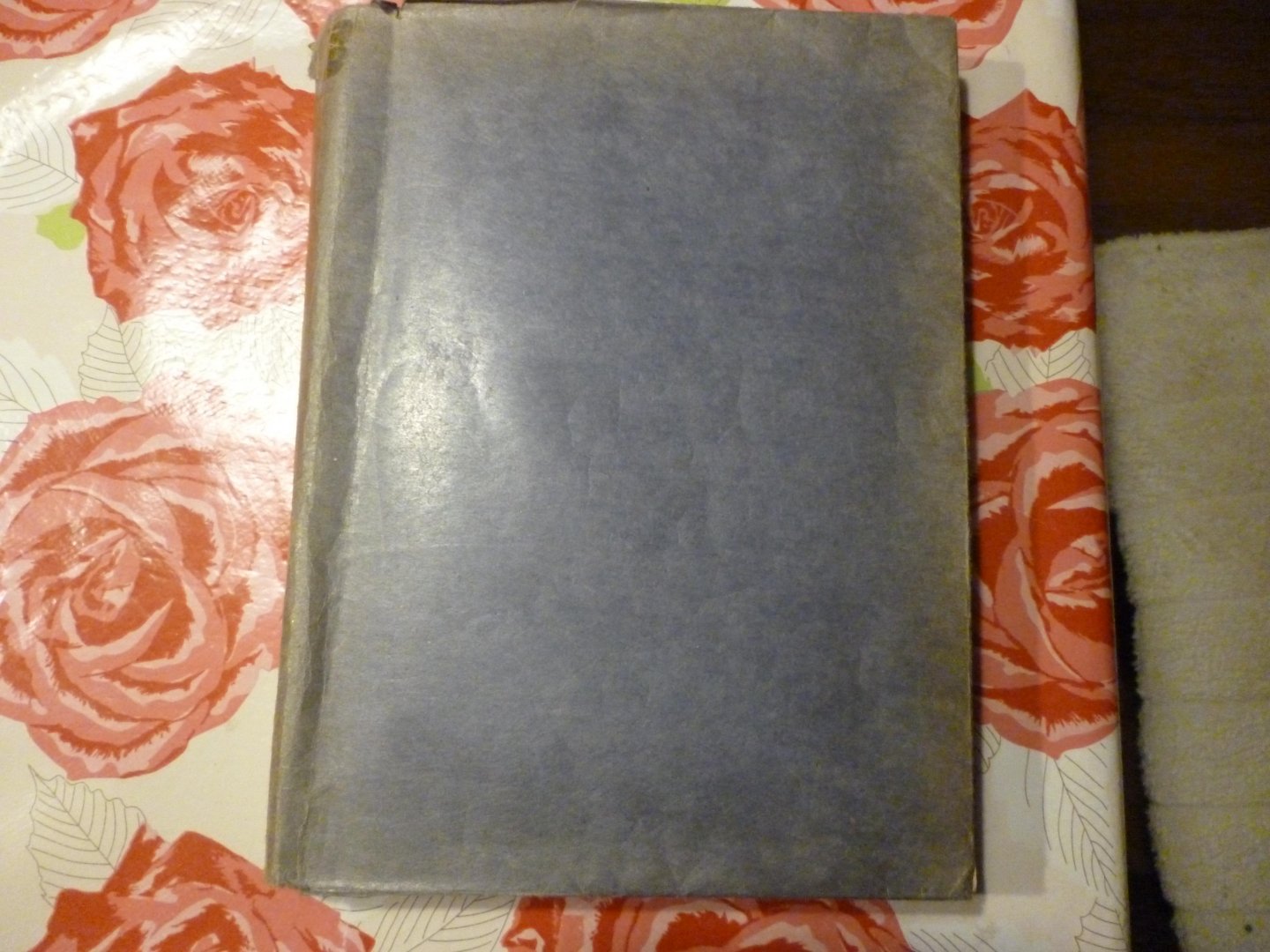 Penning L - De leeuw van modderspruit