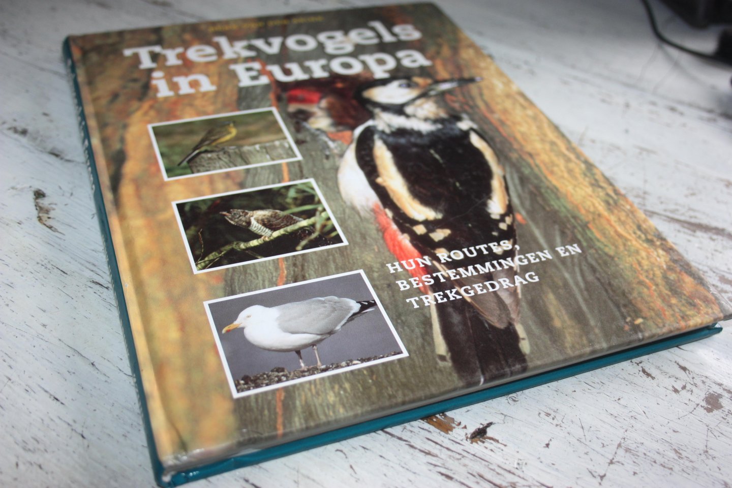 Brink, Henk van den - TREKVOGELS IN EUROPA