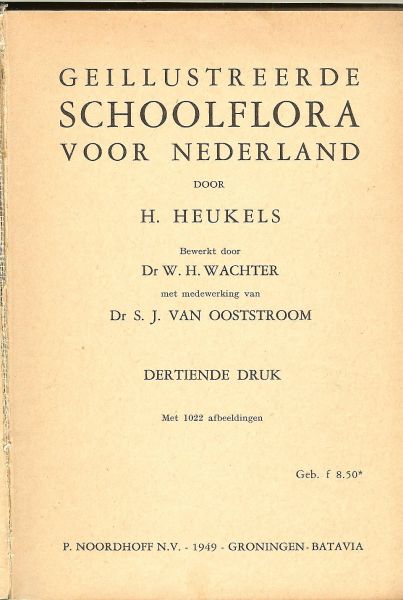 Heukels,H. & W.H.Wachter met mede werking van Dr S.J. van Ooststroom  met 1022 afbeeldingen - Geillustreerde schoolflora voor Nederland van H. Heukels