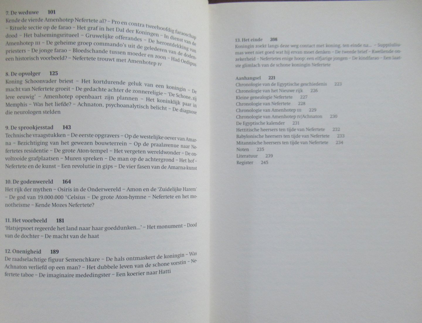 Vandenberg, Philipp - Nefertete. De schoonheid die opdoemt. Koningin van wereldallure