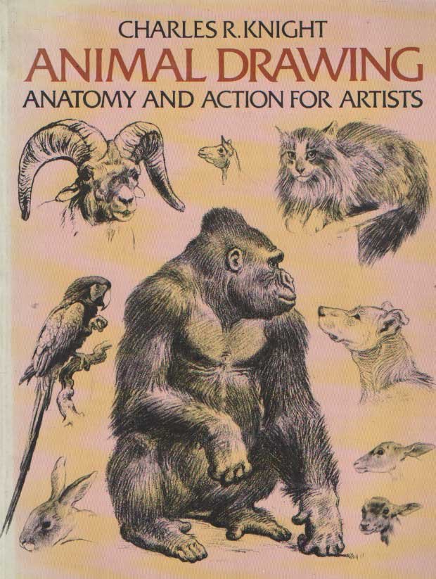 Knight, Charles R. - Animal Drawing. Anatomy and Action for Artists (Animal Anatomy and Psychology for Artists and Laymen) ..