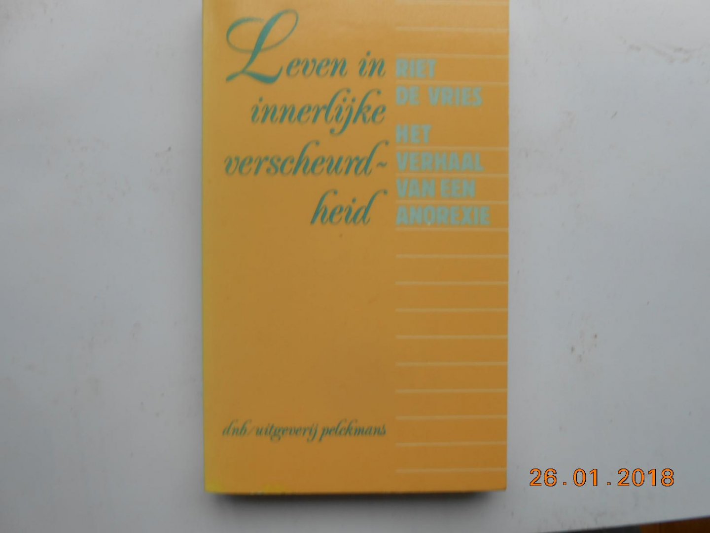 Vries Riet de - Leven in innerlyke verscheurdheid / druk 1