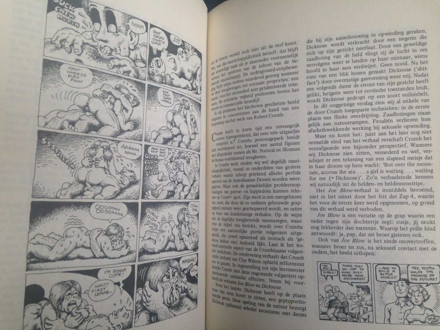 Geel, Rudolf - De Gids 1971 nr 5/6 Artikel Van beeldcode tot Crumb, 17pp