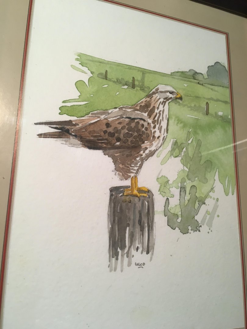 Glimmerveen, Ulco - kunstenaar - Buizerd - originele, gesigneerde aquarel van vogel op een paal in weidelandschap