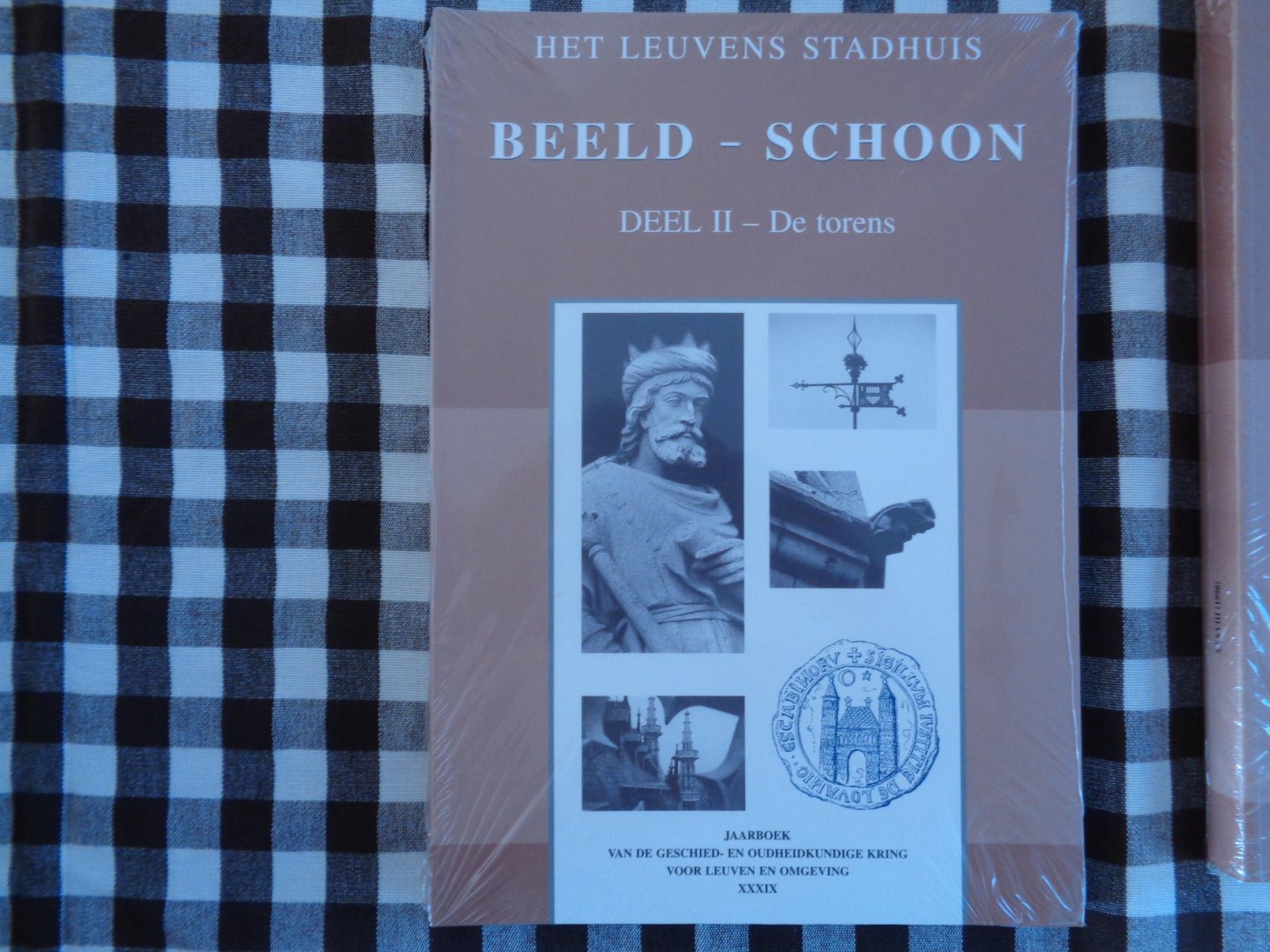 Gilleir, M. - het leuvens stadhuis