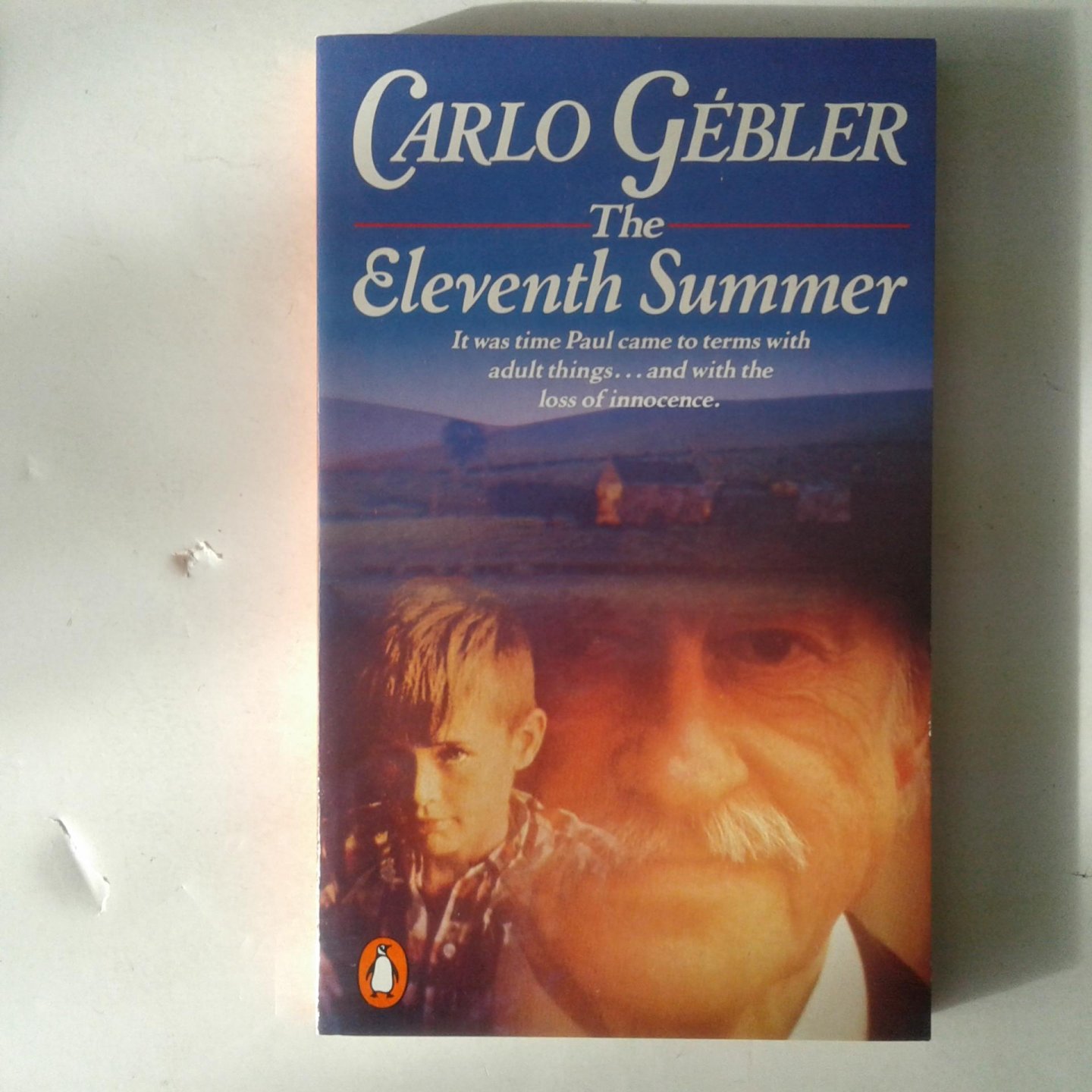 Gébler, Carlo - The Eleventh Summer