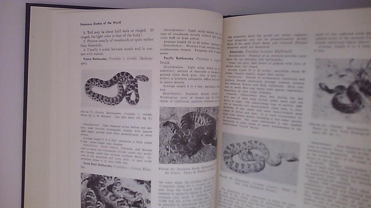 Brown, R.B. (foreword) - Poisonous Snakes of the World  a Manual for use by U.S. Amphibious Forces