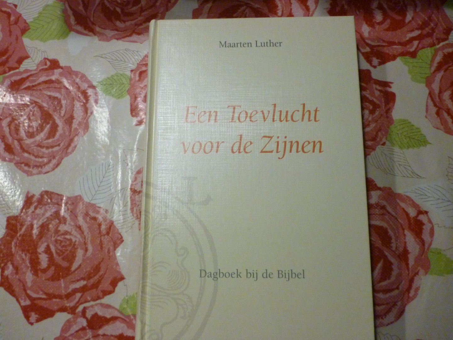 Luther, M. - Een toevlucht voor de Zijnen