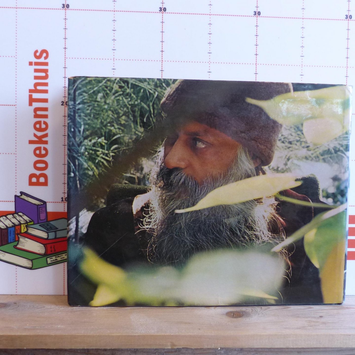 Osho - Bhagwan Shree Rajneesh - the NO book - no Buddha, no teaching, no discipline - a Darshan diary