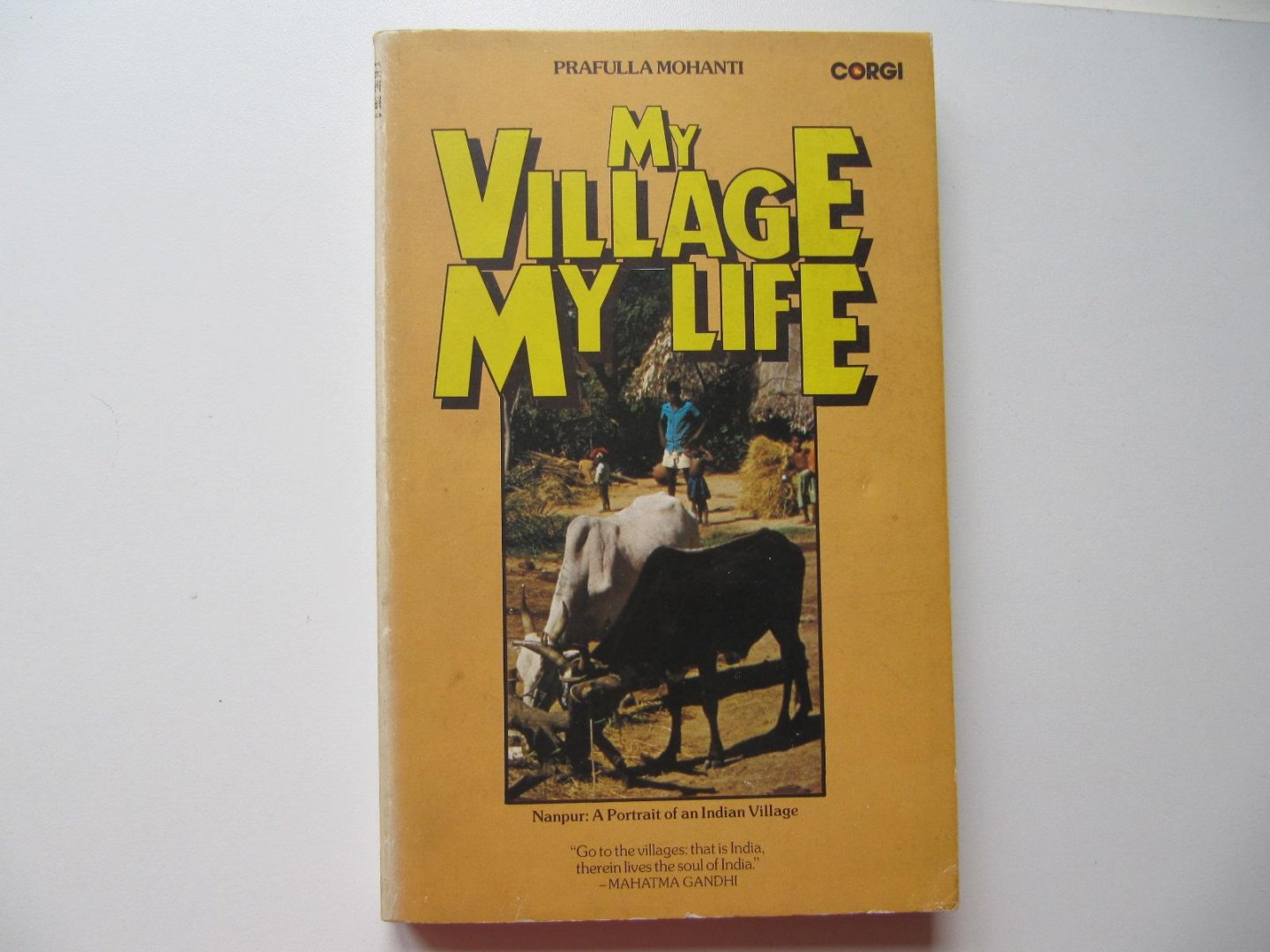 Prafulla Mohanti - My Village My Life - Nanpur: A Portrait of an Indian Village