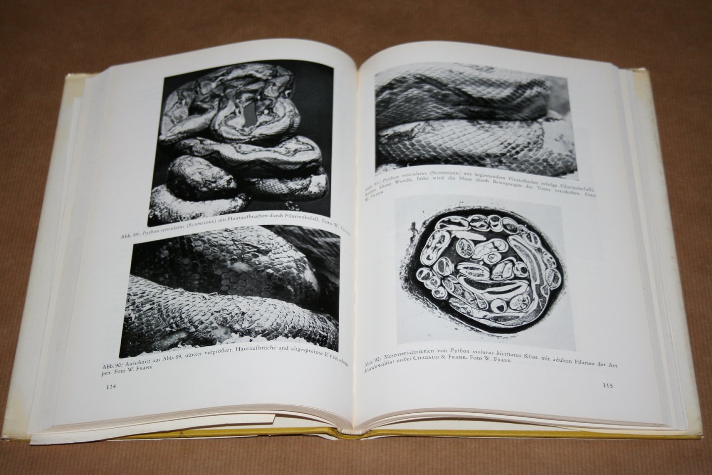 H.H. Reichenbach-Klinke - Krankheiten der Reptilien