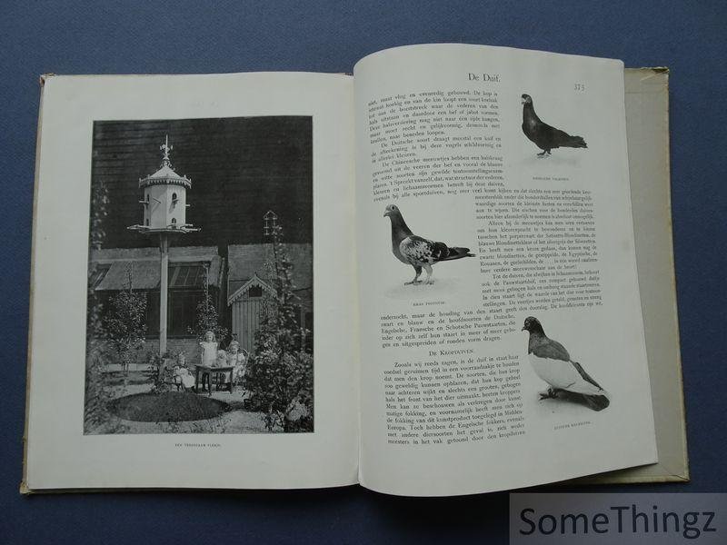 N/A. - Onze huisdieren. Kamer- en Volièrevogels. De duif. Met 75 groote en kleinere afbeeldingen naar photographieën, een een gekleurde plaat.