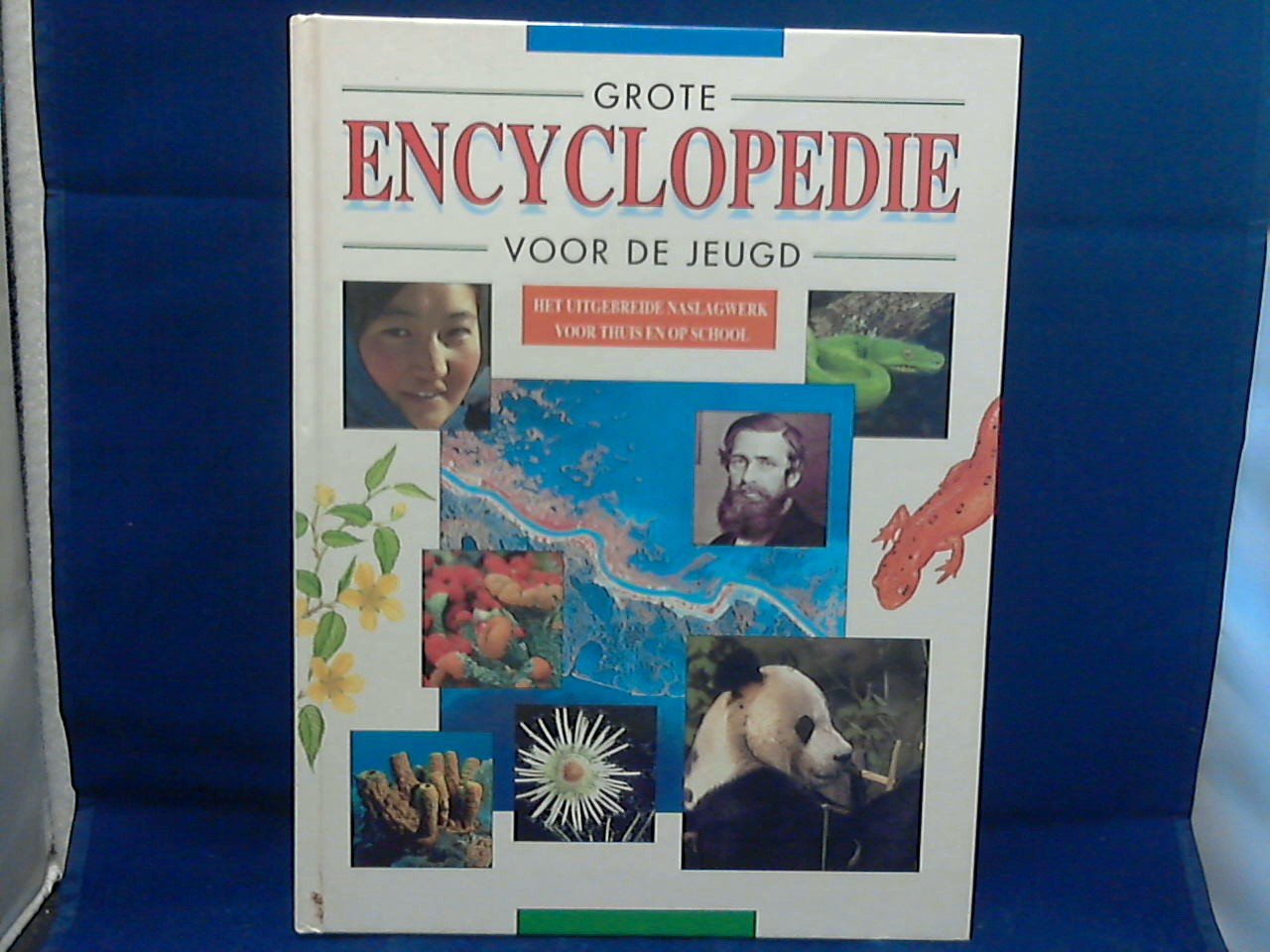 Robin Kerrol/Dixon/Twist/Walpole en Stidworthy - Grote Encyclopedie voor de jeugd/ het uitgebreide naslagwerk voor thuis en op school