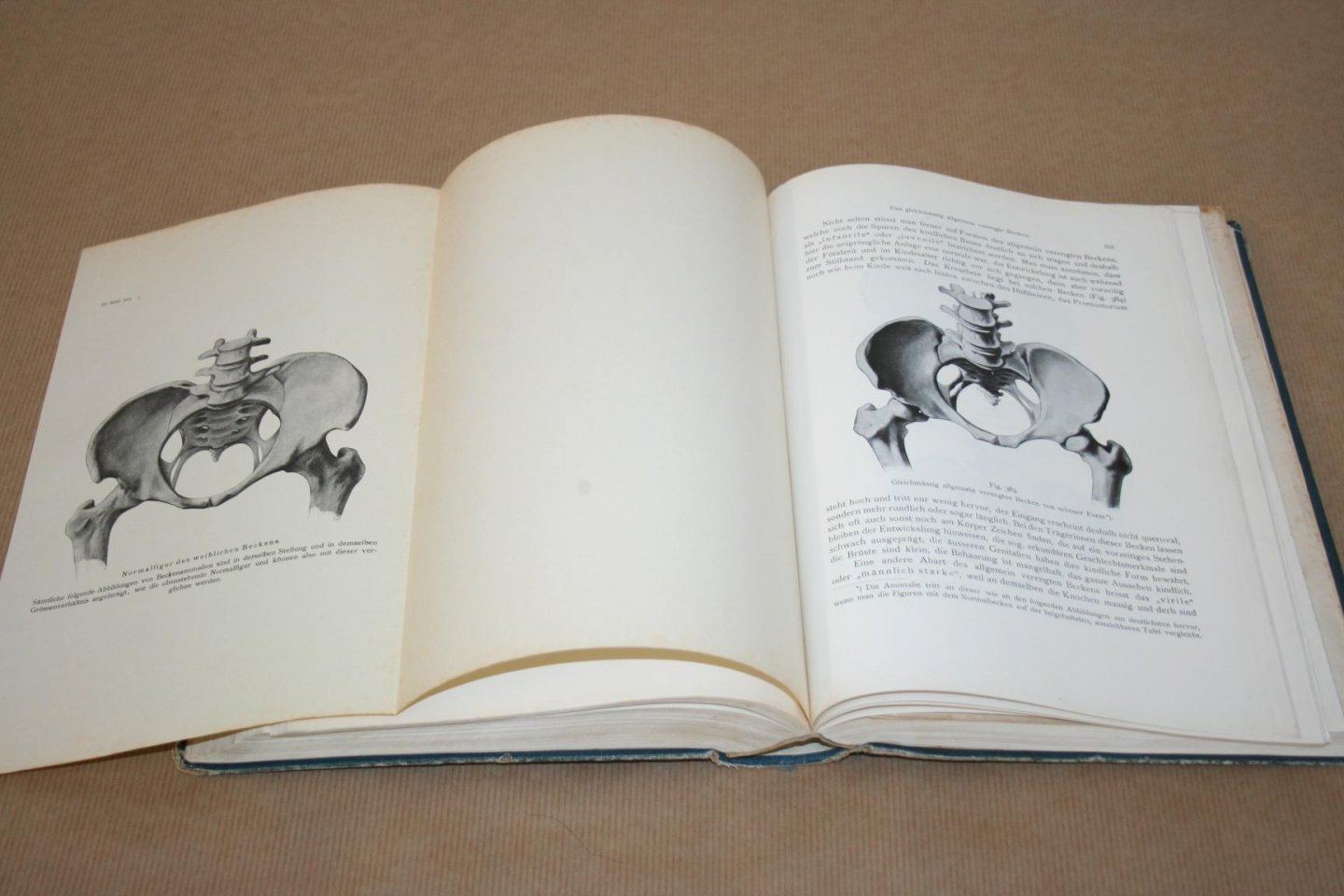 Dr. Ernst Bumm - Grundriss zum Studium der Geburtshilfe