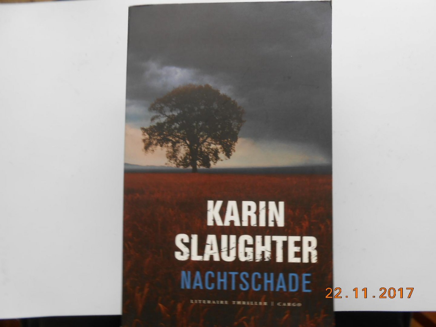 Slaughter, K. - Nachtschade