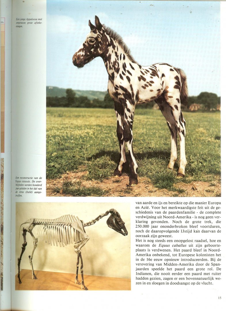 GROESBEEK HANS & HANNIE MENSING - DE WERELD VAN HET PAARD