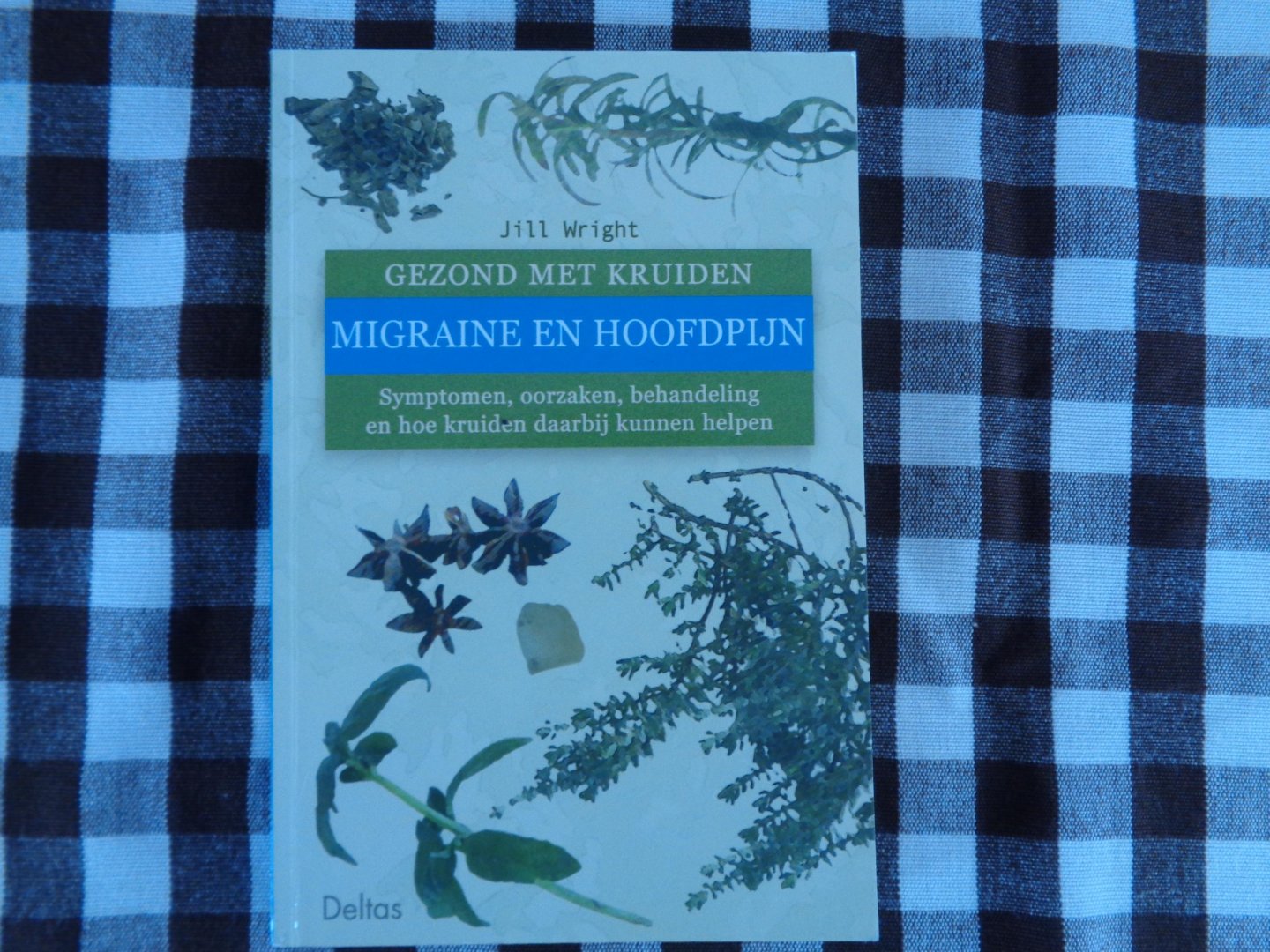 Wright, J. - Gezond met kruiden / 53 Migraine en hoofdpijn