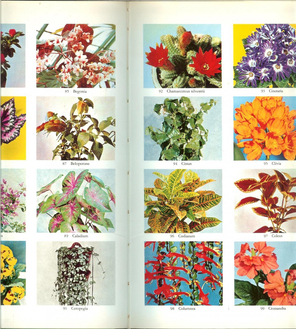 HERWIG - GROOT BLOEMEN- EN PLANTENBOEK * deel 1 kamerplanten * deel 2 tuin