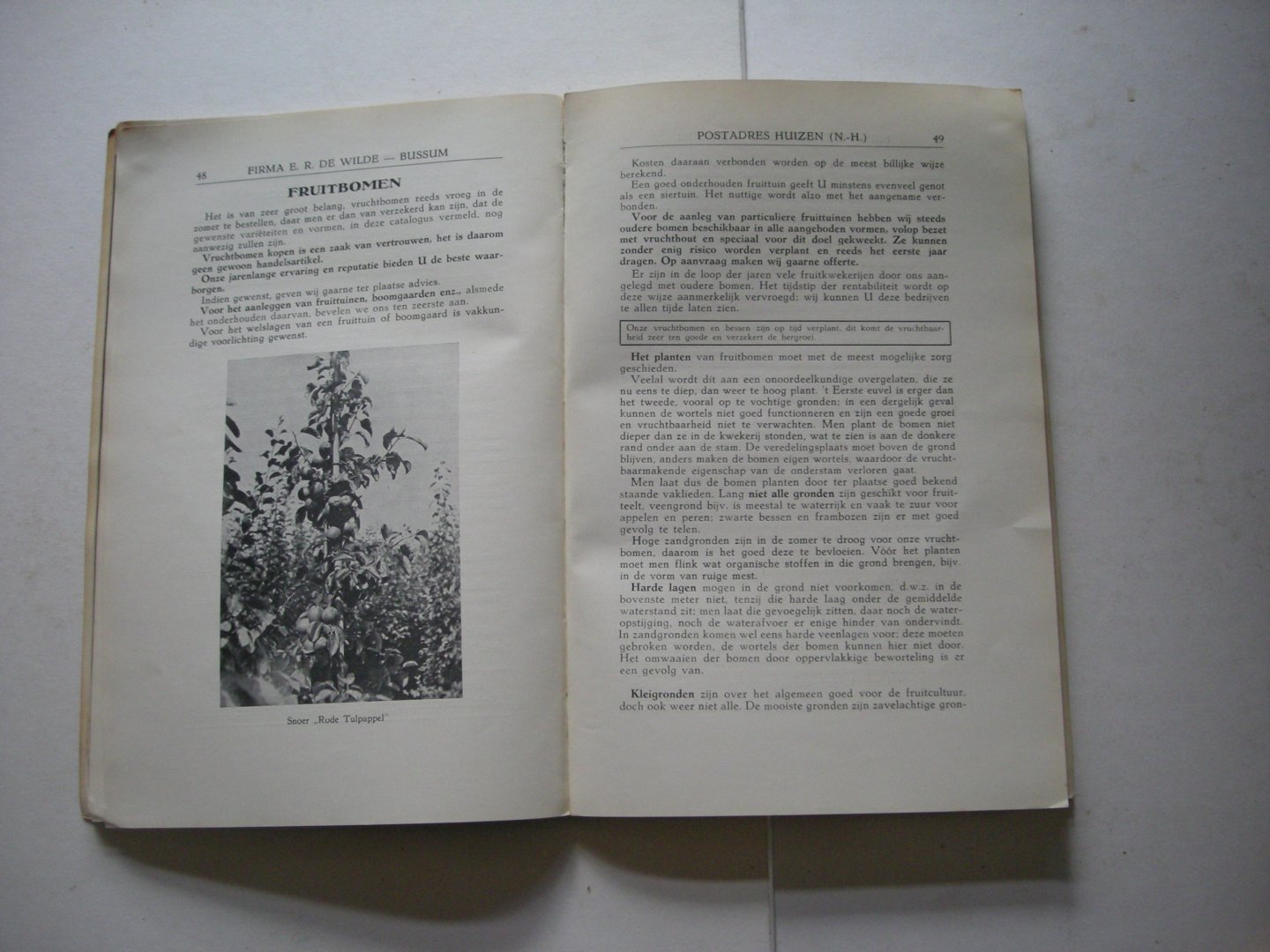 redactie - Rozen en vruchtbomen, Catalogus 1953-1954