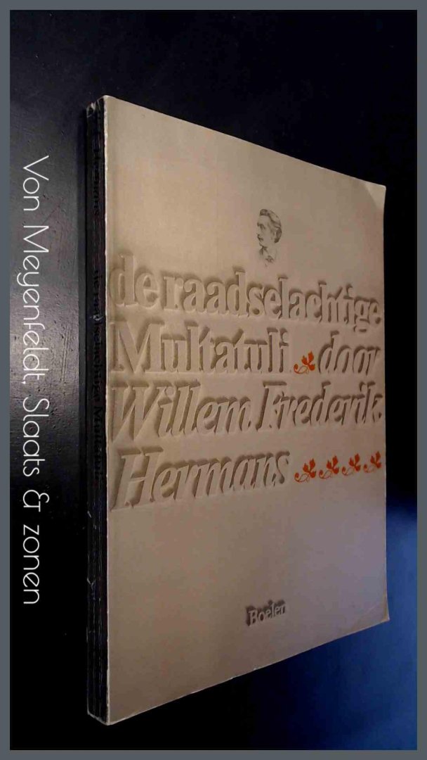 Hermans, W. F. - De raadselachtige Multatuli