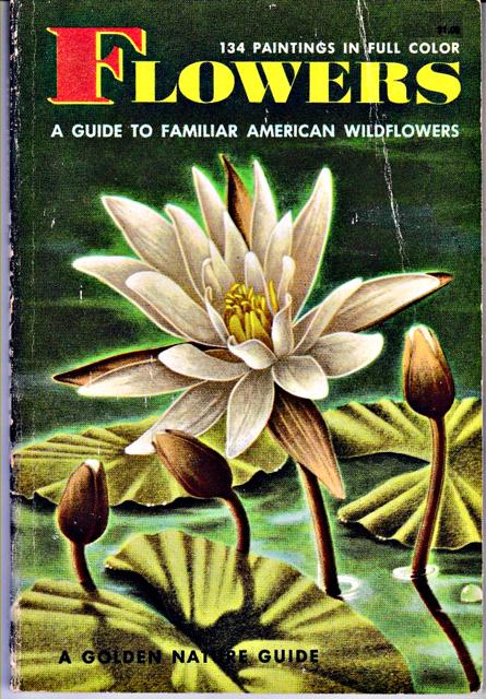 Zim, Herbert S. & Alexander C. Martin - Flowers : A Guide to familiar American Wildflowers