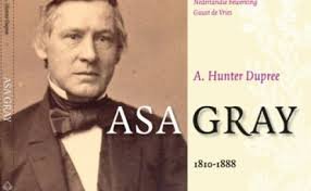 Dupree, A. Hunter (ned.bew. Guust de Vries) - Asa Gray, 1810-1888