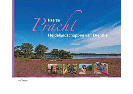 Dekker, Hans / Albert Kerssies e.a. - Paarse Pracht / heidelandschappen van Drenthe