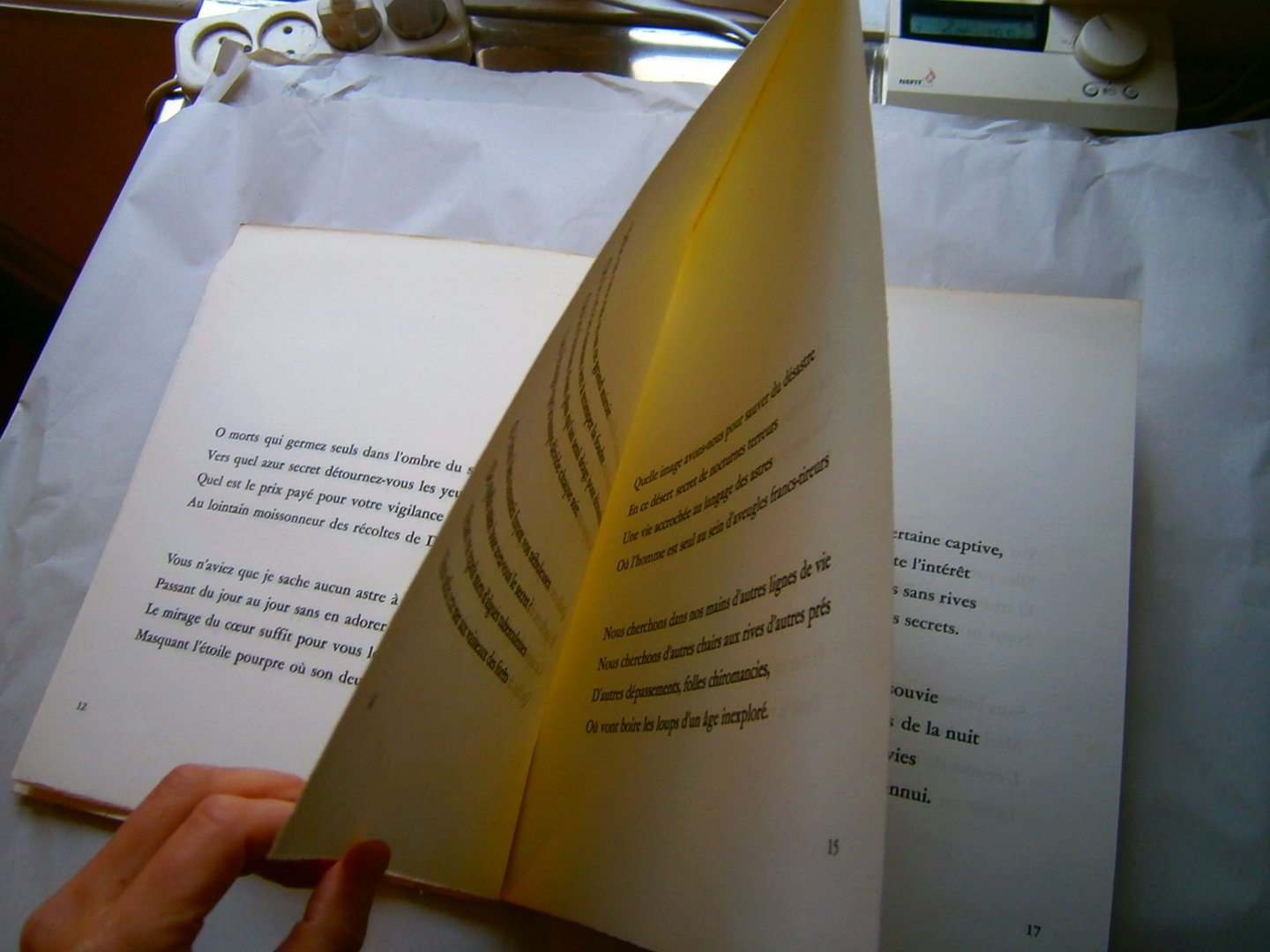 Radzitzky, Carlos de - Desert secret