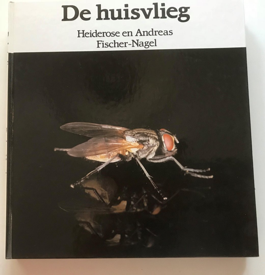 Fischer, Heiderose en Andreas - Huisvlieg / druk 1