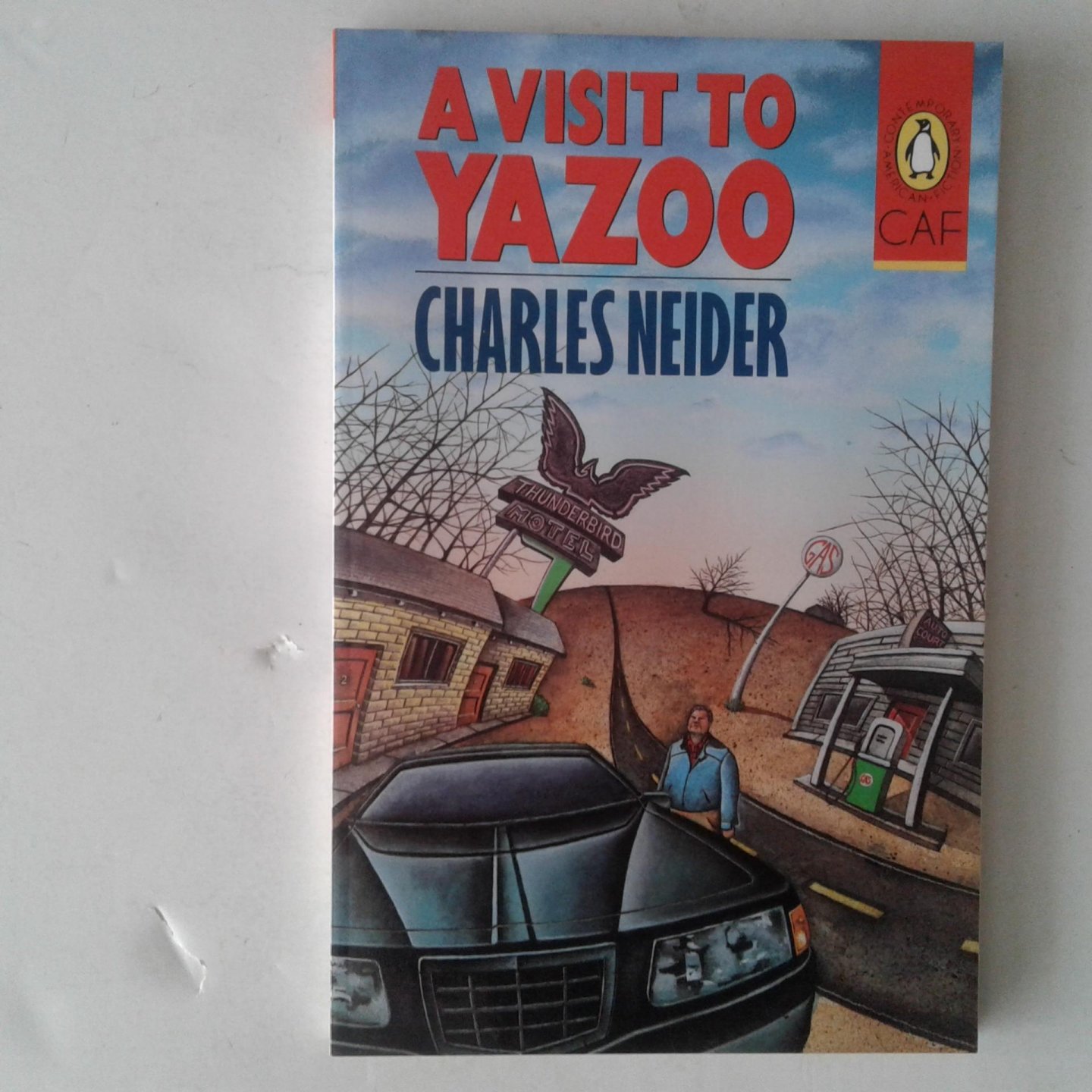 Neider, Charles - A Visit to Yazoo