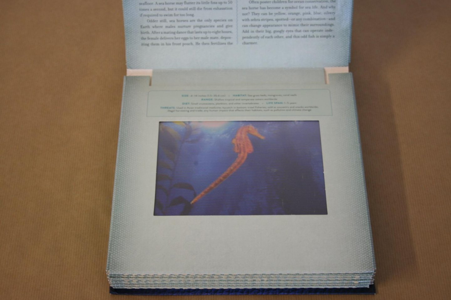 Dan Kainen & Carol Kaufmann - Ocean - A photicular book