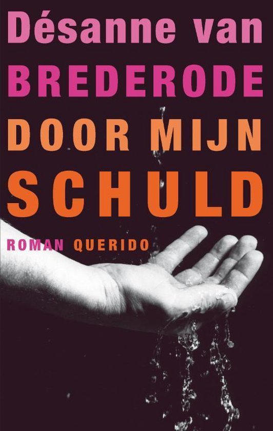 Désanne Van Brederode - Door mijn schuld