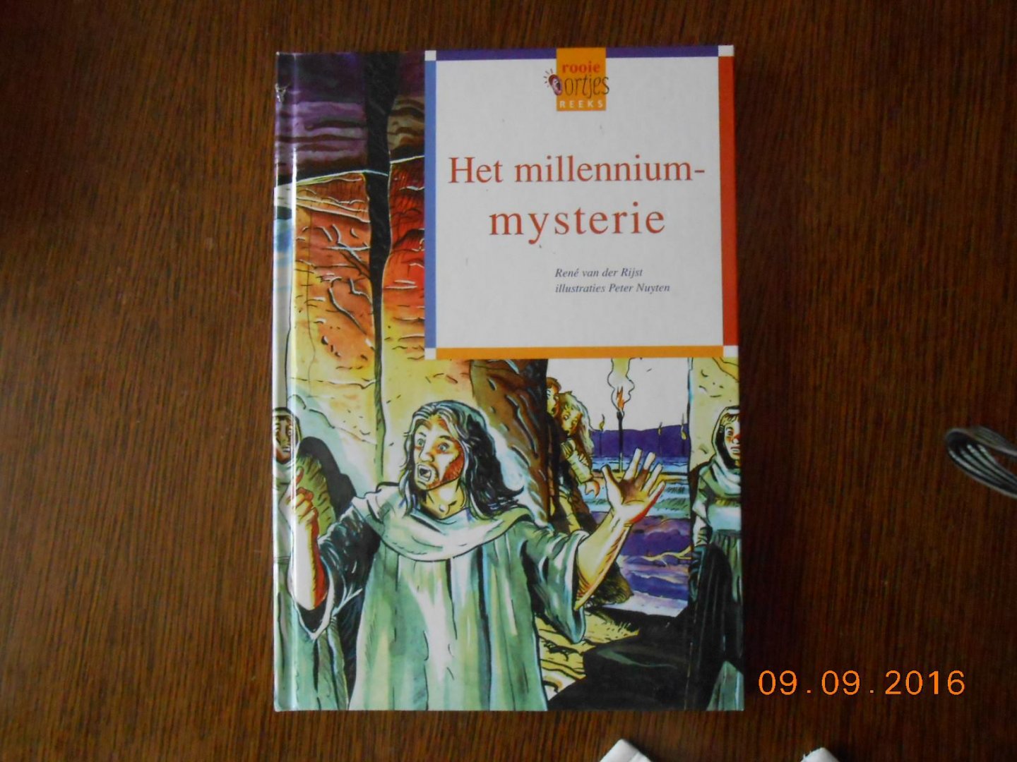 Rijst, R. van der - Het millenniummysterie / druk 1