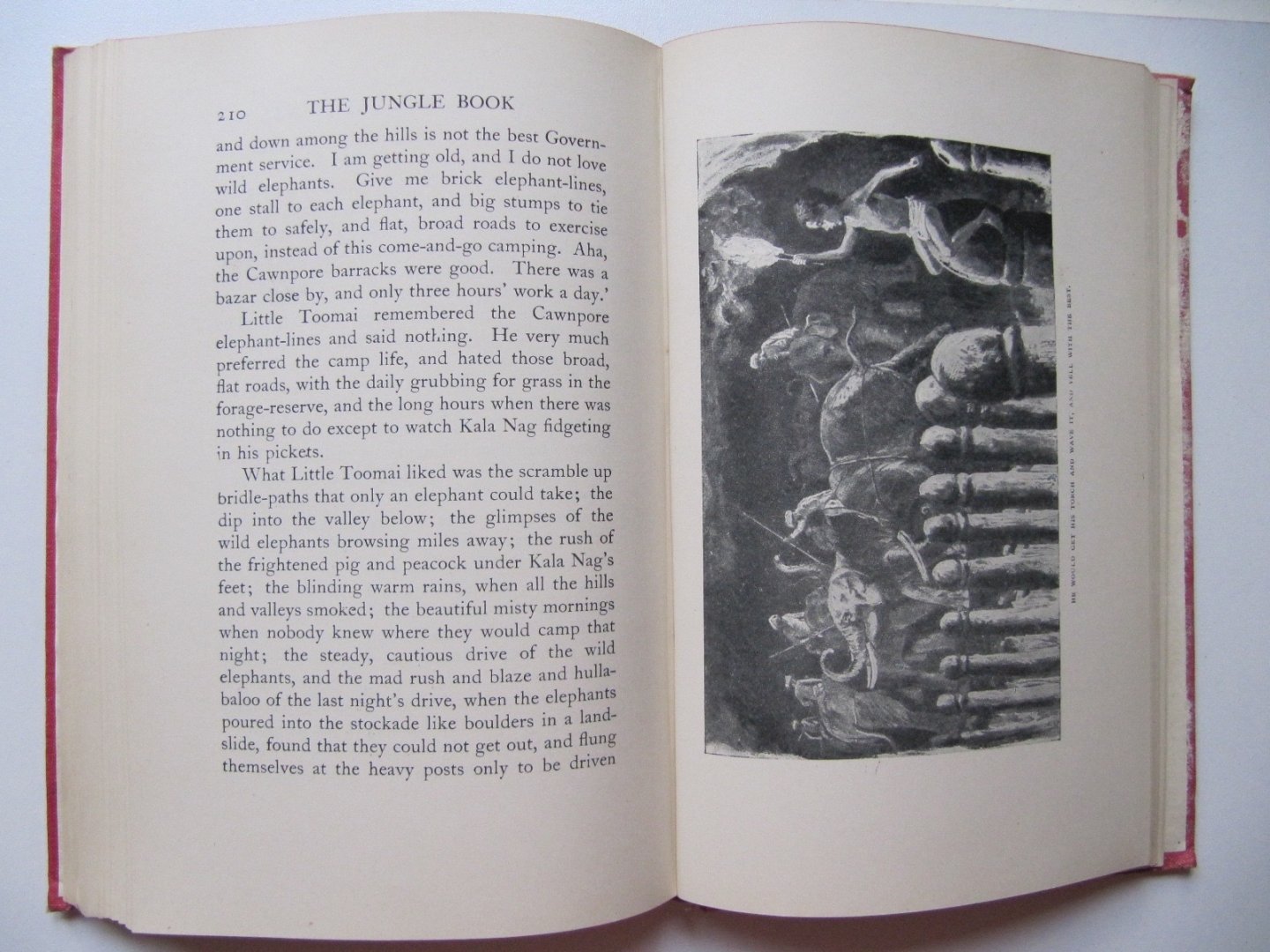 Rudyard Kipling - The Jungle Book