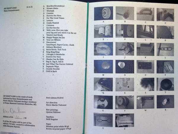 Hans Demeulenaere - An Idiot's end