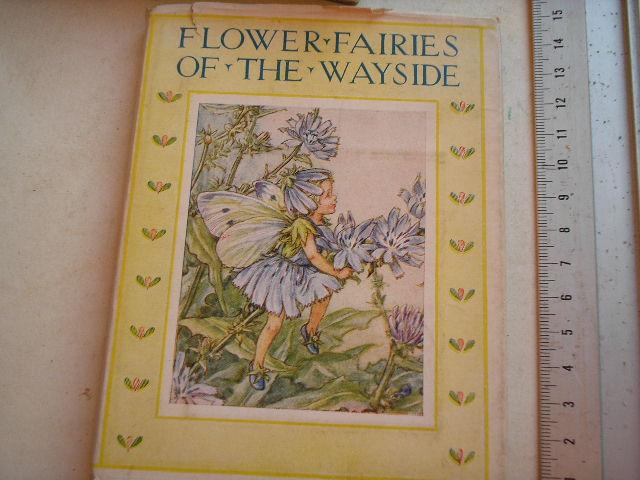 Barker, Cicely Mary - Flower Fairies of the Wayside