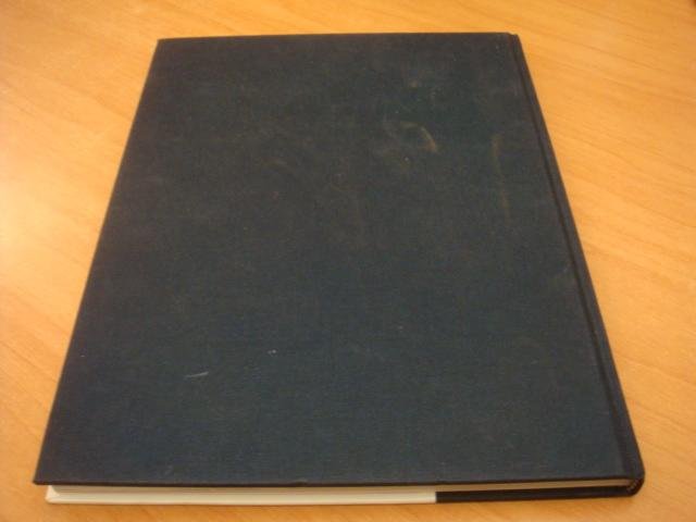 Bulthuis, Peter & Dijk, Caroline - Fonds Schiedam Vlaardingen e.o 1991 - 2001