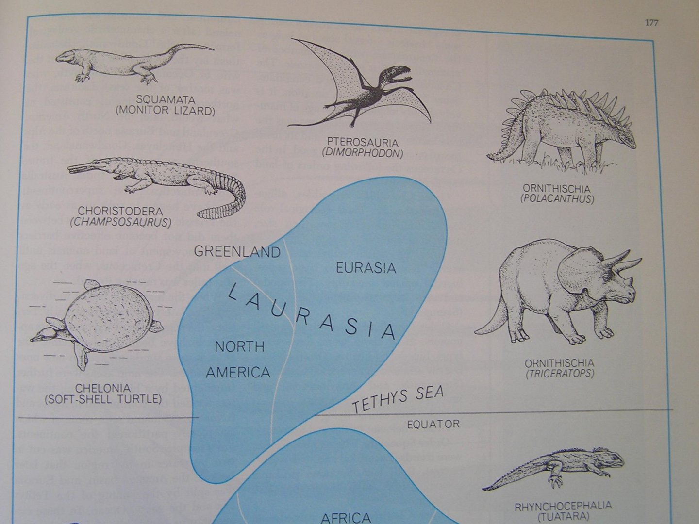 Wilson, T. Tuzo - Continents Adrift and Continents Aground