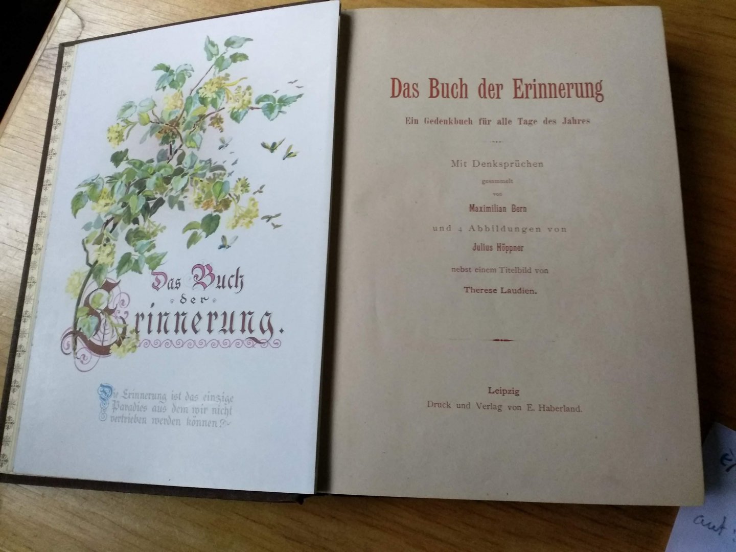 Bern, Maximilian (sammler)  und   Julius Hoppner (abbildungen) - Das Buch der Erinnerung (Ein Gedenkbuch für alle Tage de Jahres) nebst einem Titelbild von Therese Laudien