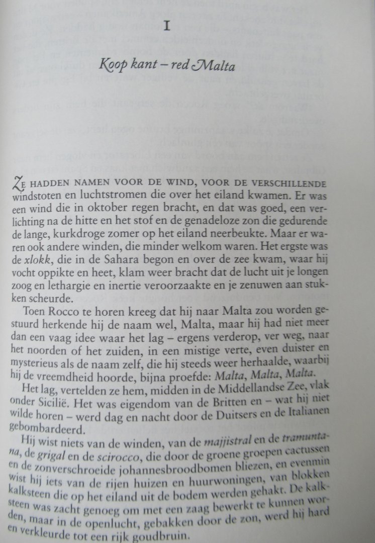 Rinaldi, Nicholas - De verliefde soldaat. Een prachtig verhaal over een gepassioneerde liefde te midden van een krankzinnige oorlog